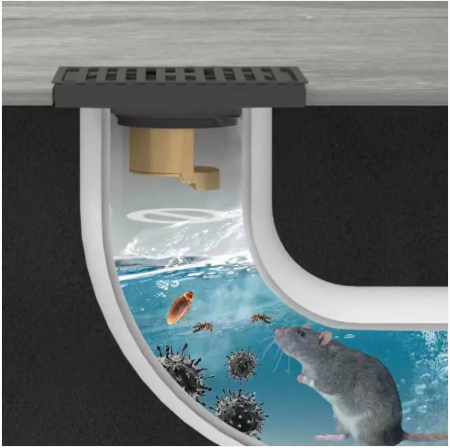 Siphon de Sol Anti-Odeur en Laiton – Protection 3-en-1 : Bloque Odeurs, Insectes et Remontées d’Eau